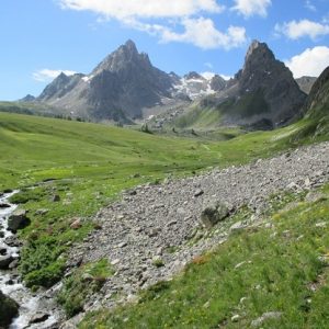 Le Chardonnet