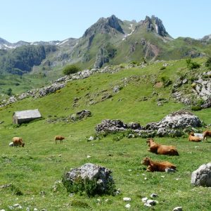 Braña de Mumian