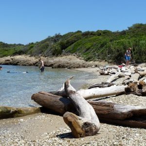 Île de Porquerolles, Cap Rousset