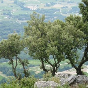 Sentier du San Peire