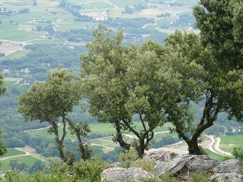 Corniche des Maures