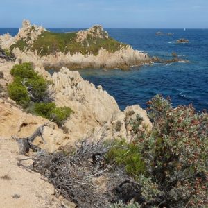 Île de Porquerolles, le "Petit Langoustier"