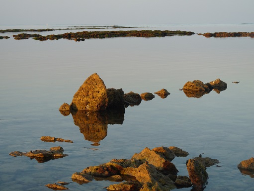 Ile de Ré