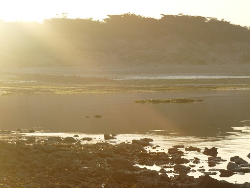 Ile de Ré