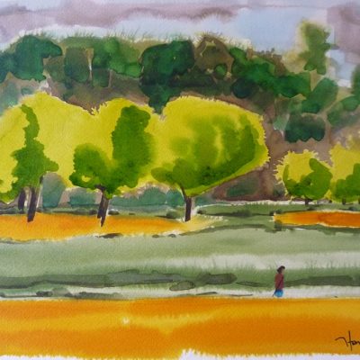 Périgord vert, aquarelle et lavis