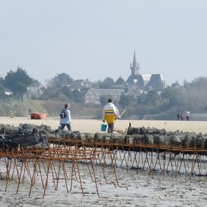 Parcs à huitres devant Saint-Jacut-de-la-Mer