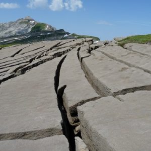 Désert de Platé : lapiaz de diaclase