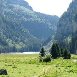 Hameau, tourbière et lac de Flaine