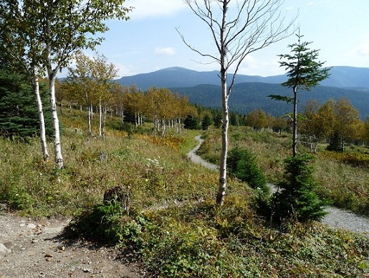 Haute-Gaspésie