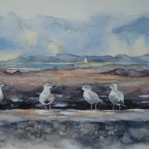 Goélands en bordée, aquarelle (40x20 cm).