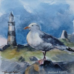 Goéland ouessantin, aquarelle (12x12 cm).