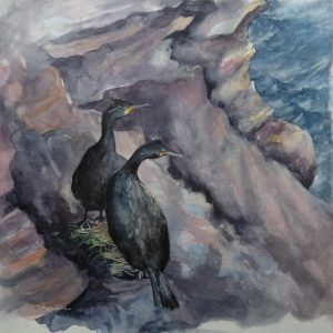 Couple de cormorans, aquarelle (38x38 cm).