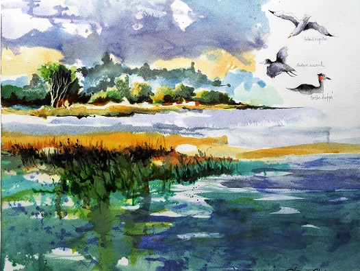 L'étang de Feins, aquarelle