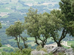 Corniche des Maures