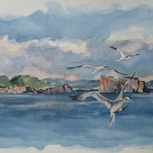 Fous de bassan évoluant au large du Rocher Percé
et de l'Île Bonaventure. Aquarelle (36 x 28 cm).