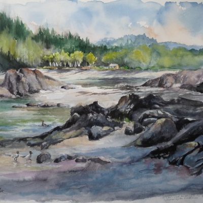 Parc National du Bic : l'Anse à l'Orignal
cache bien des secrets, un site enchanteur,
où les cormorans à aigrettes longent le rivage. Aquarelle (50 x 65 cm).